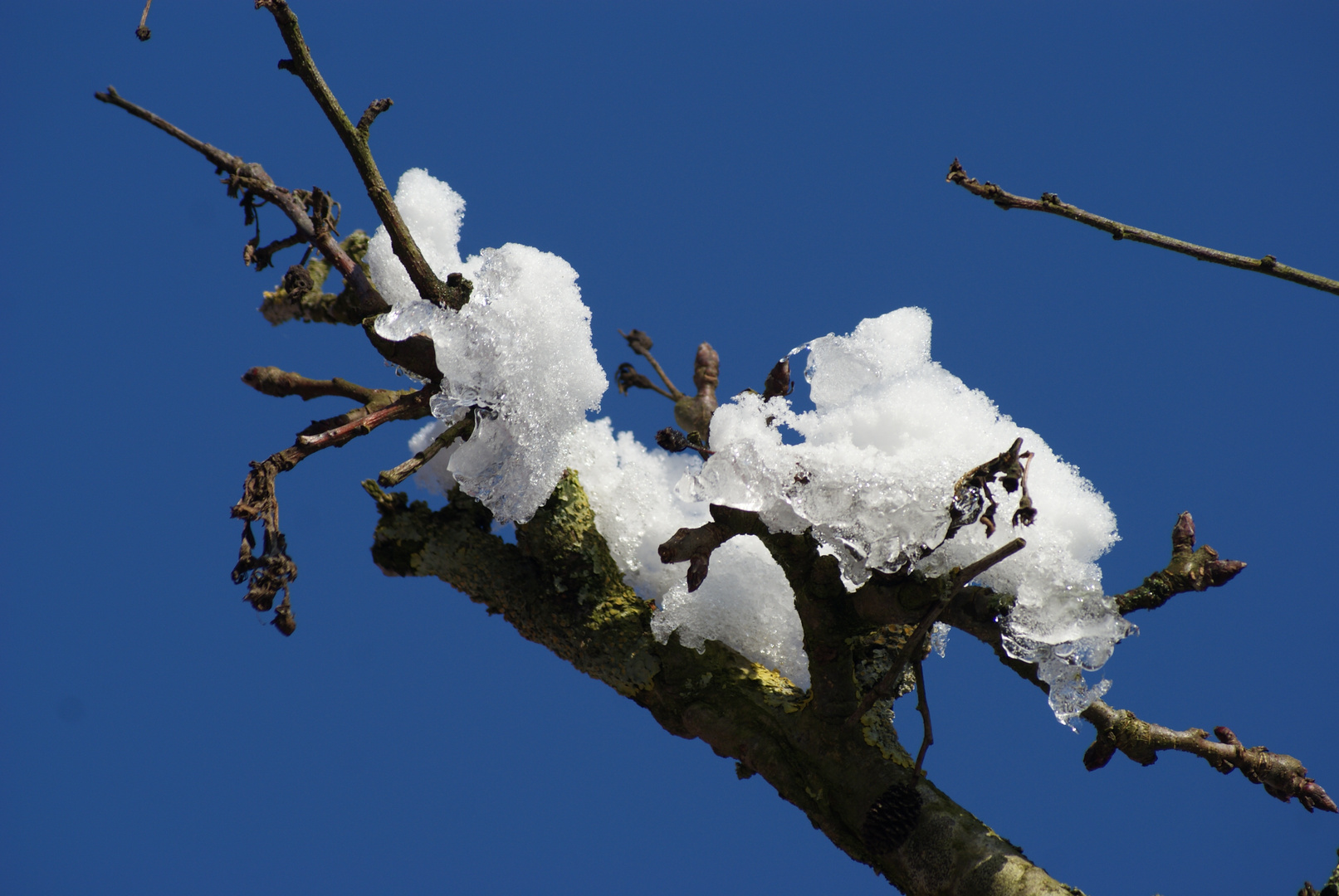 Holz, Eis und blauer Himmel