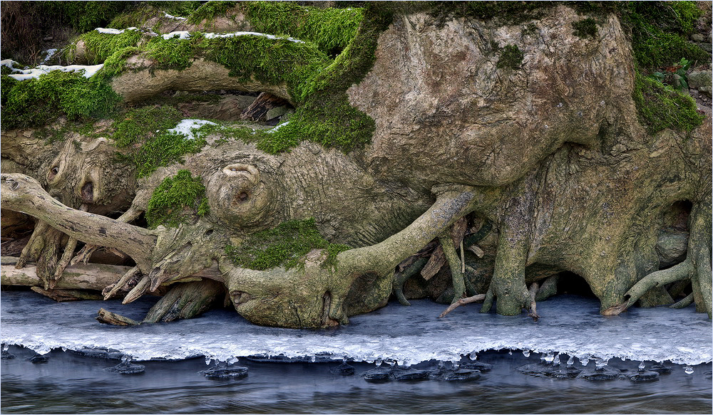 holz- erde- wasser