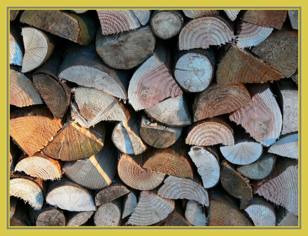 Holz - es wird uns im Winter erwärmen