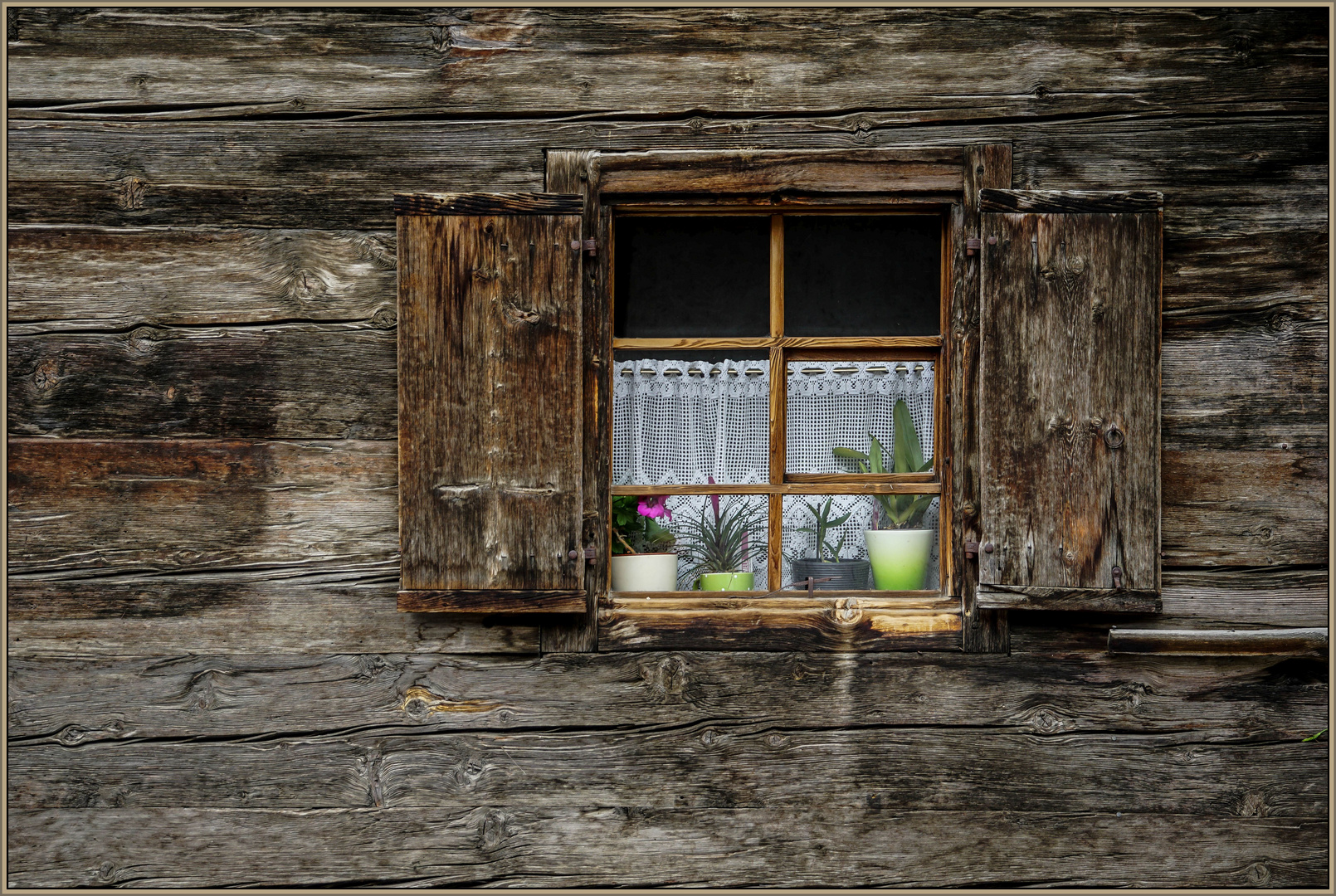 Holz  -  Fenster
