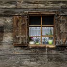 Holz  -  Fenster