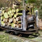 Holz für den nächsten Winter