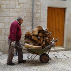 Holz für den Pizzaofen (2)