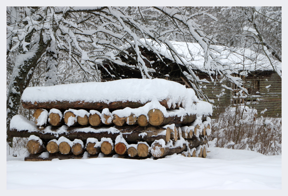 Holz für den Winter