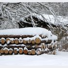 Holz für den Winter