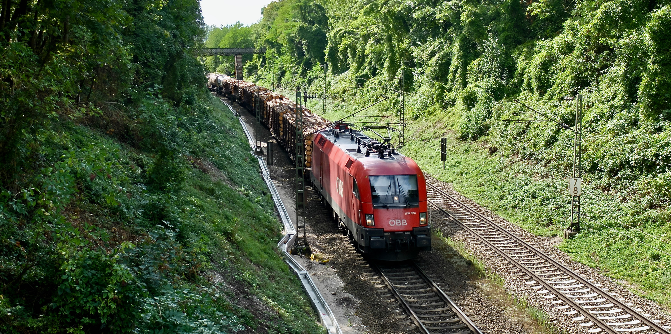 Holz für die Hüttn