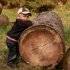 Holz für die Zukunft