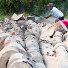 Holz für Schwenker und Spanferkel...