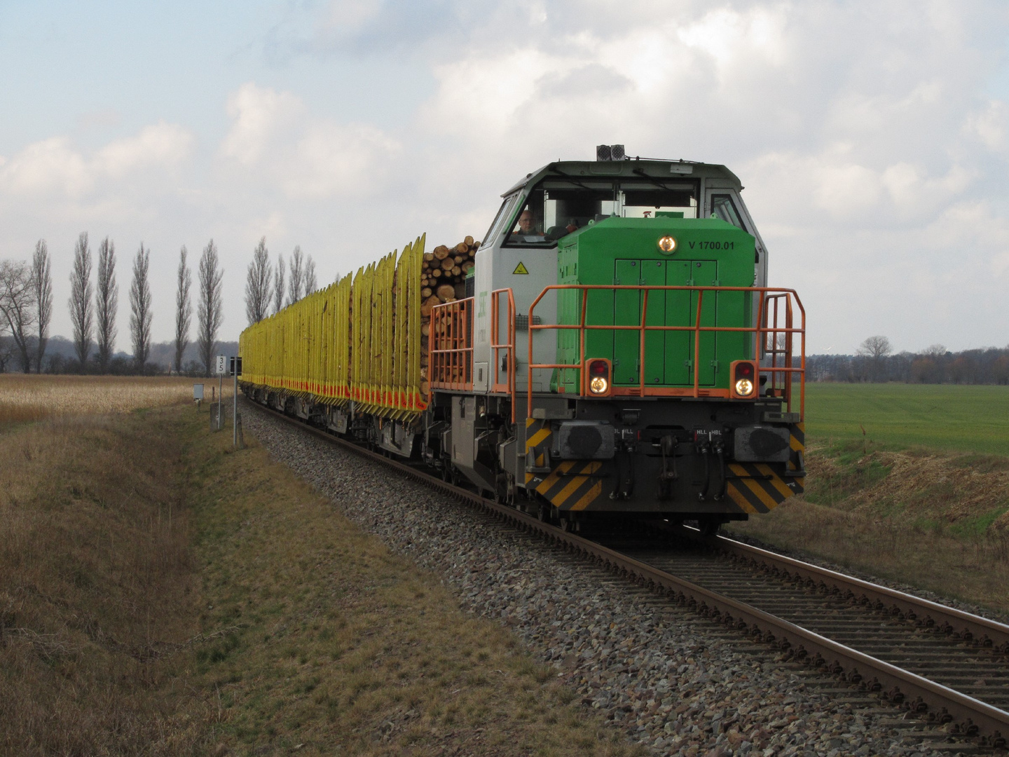 Holz fürs Zellstoffwerk