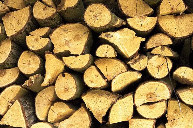 Holz geschnitten