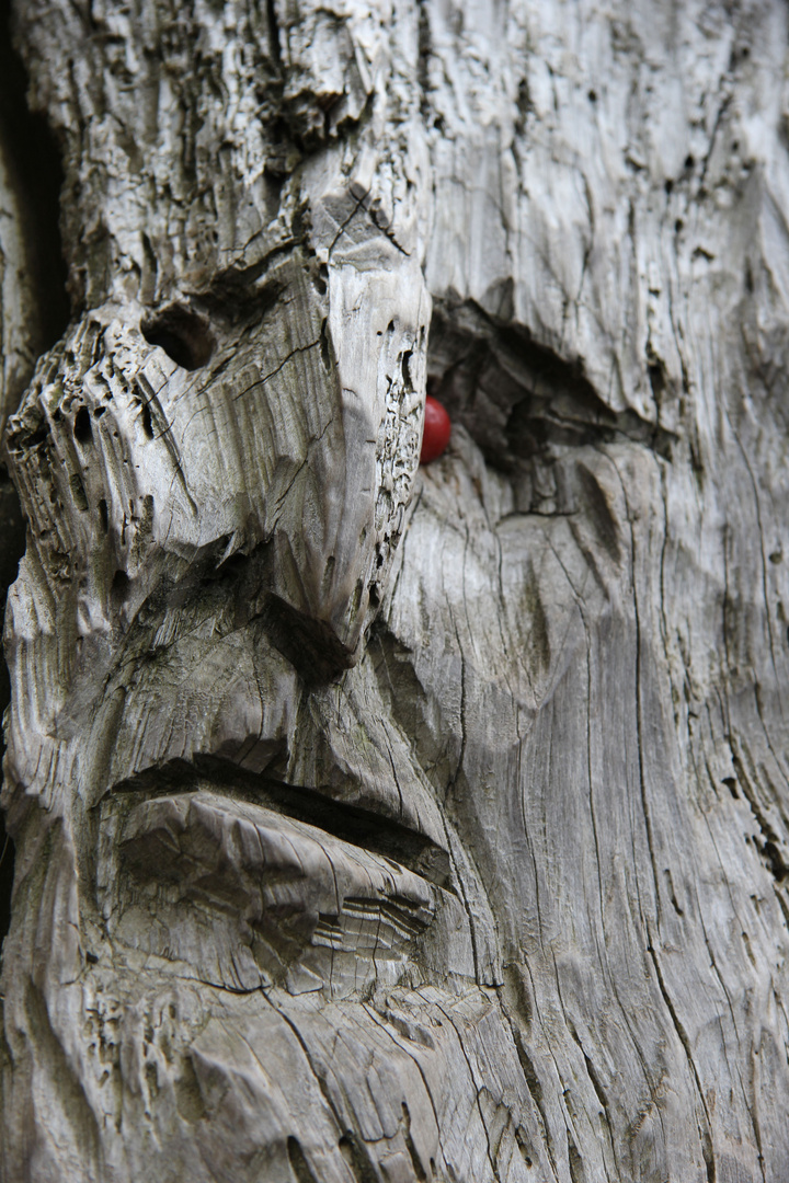 Holz hat Persönlichkeit...