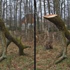 Holz-Haustier-Rohling