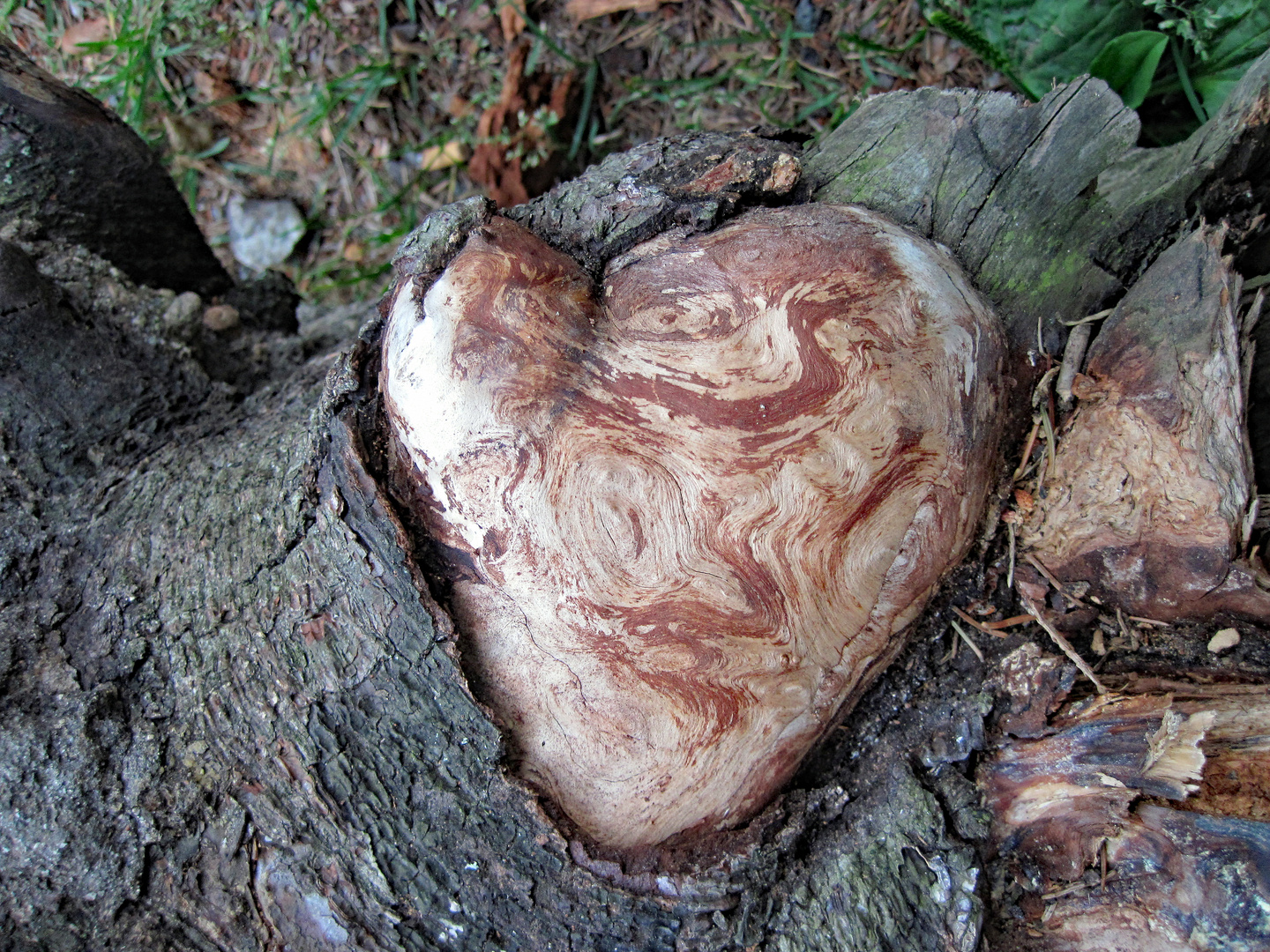 Holz - Herz