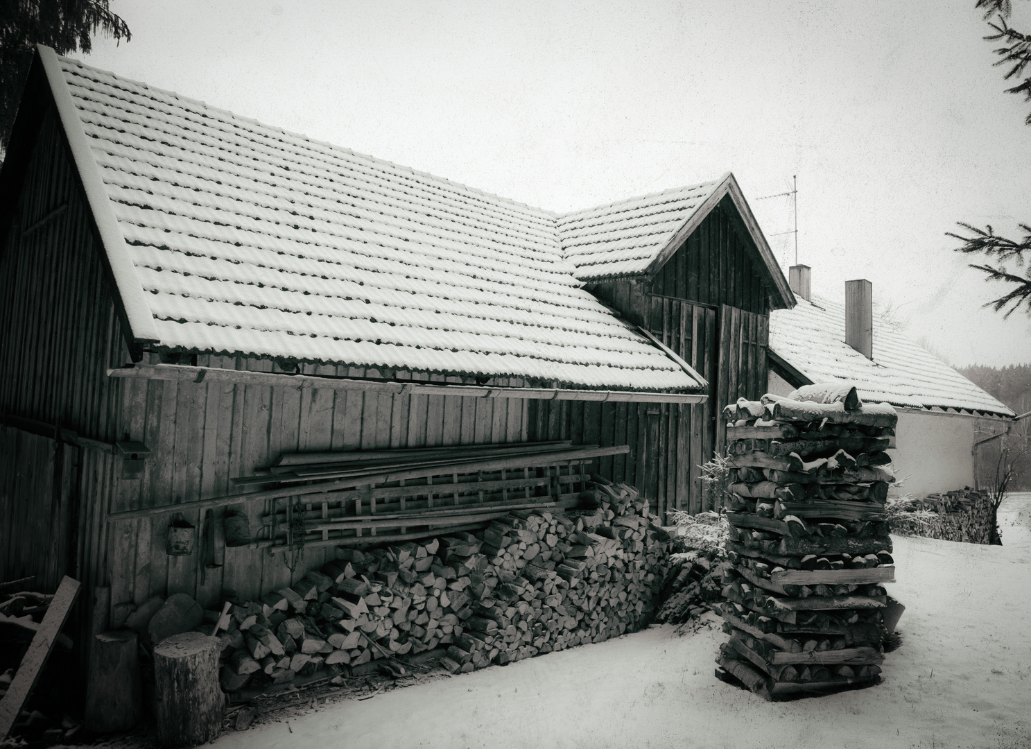 Holz hinter der Hütte