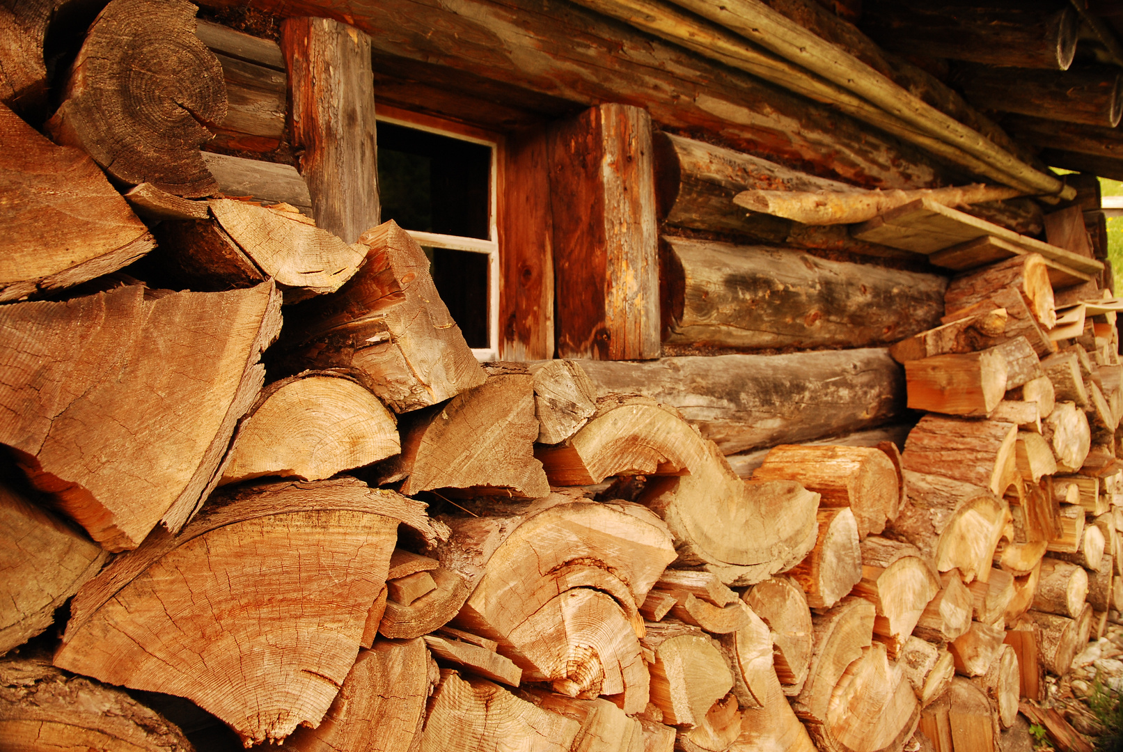 Holz, Holz, Holz...