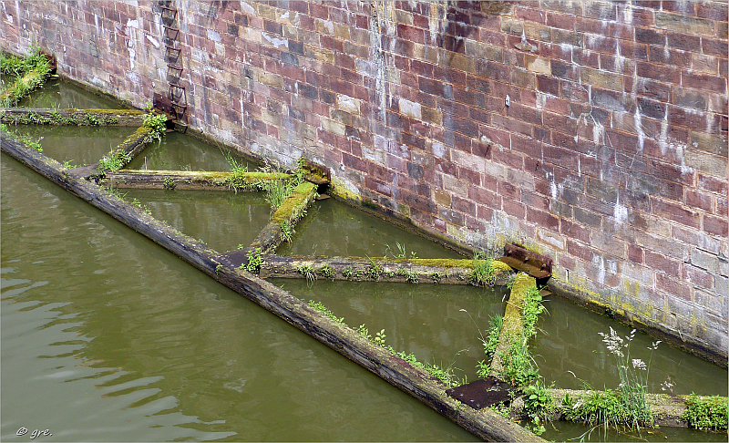 Holz im Rhein/Marne Kanal