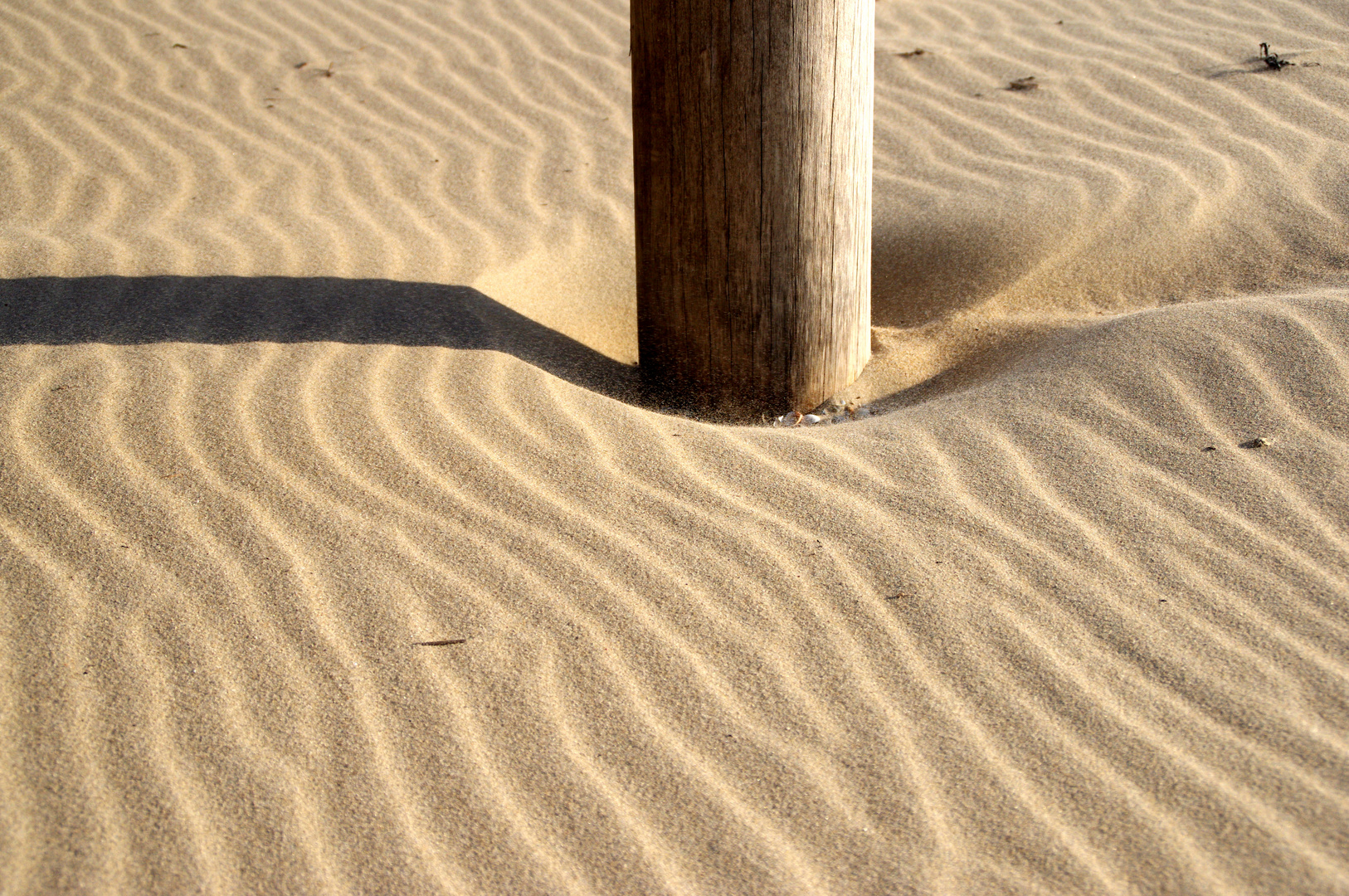 Holz im Sand