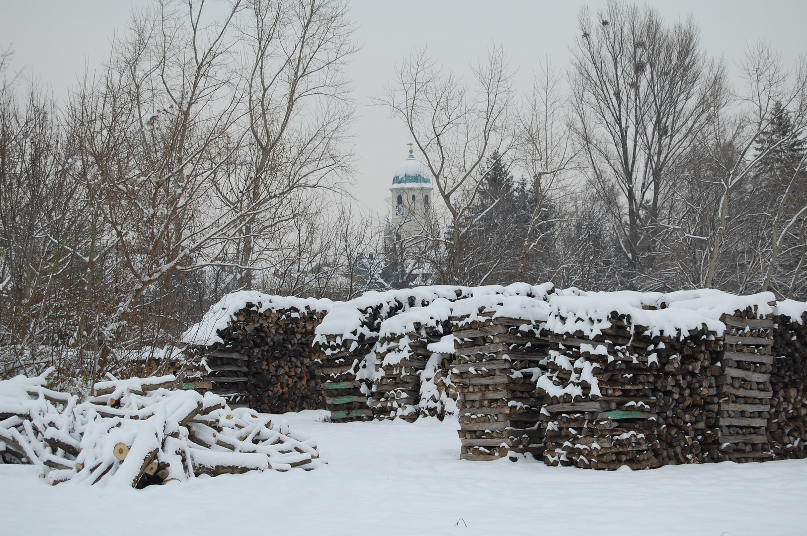 Holz im Schnee