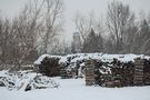 Holz im Schnee von Christian Rainer 