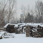 Holz im Schnee