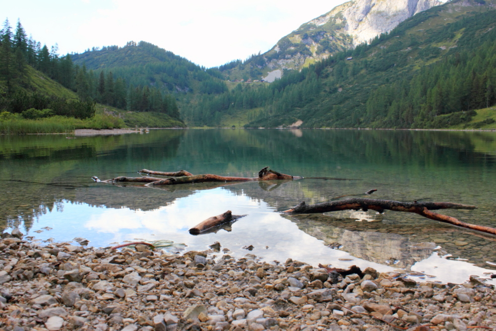 Holz im Steirersee