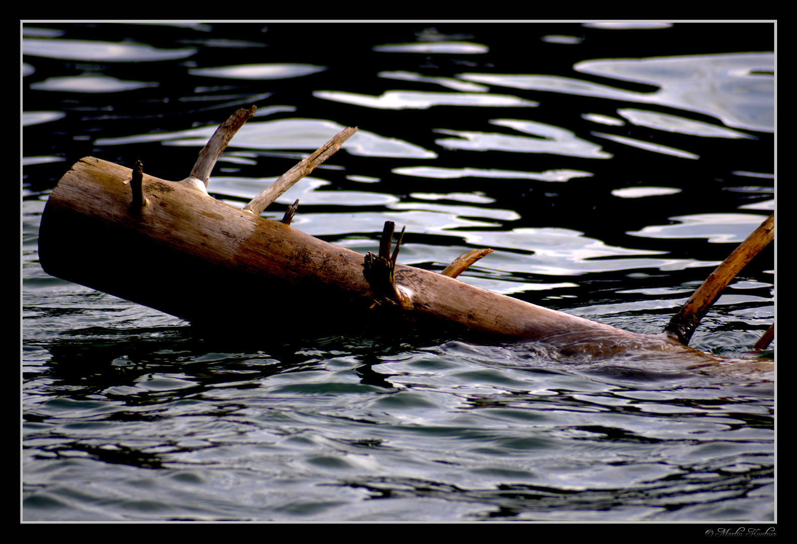 Holz im Wasser................ Foto & Bild landschaft, bach, fluss