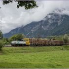 Holz im Zillertal I