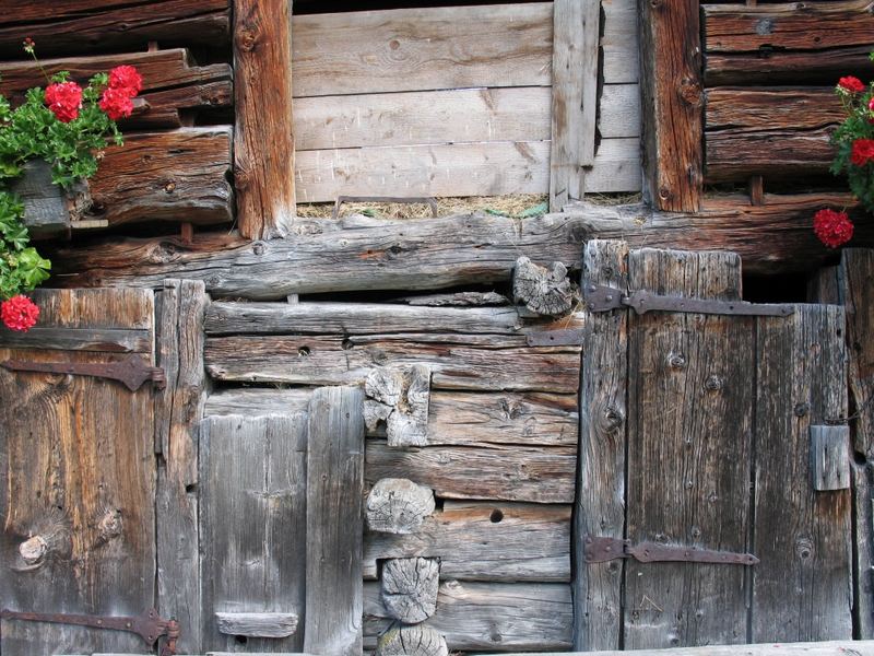 Holz in den Alpen