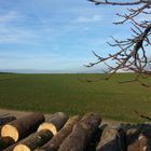 Holz in der Landschaft