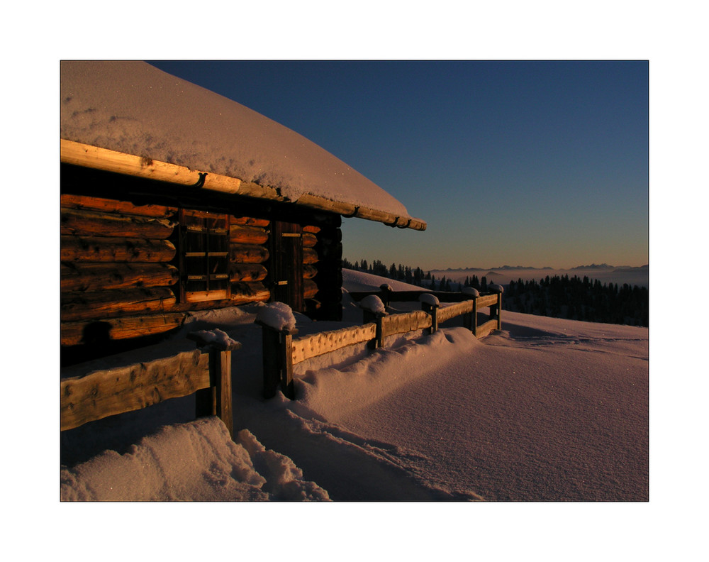 Holz ist Wärme