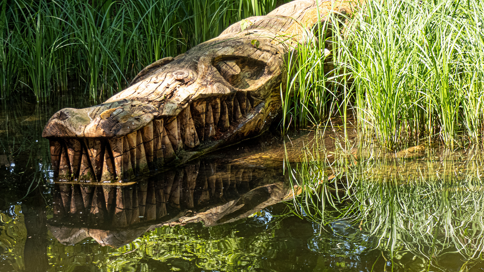 Holz Krokodil im Münchner Tierpark