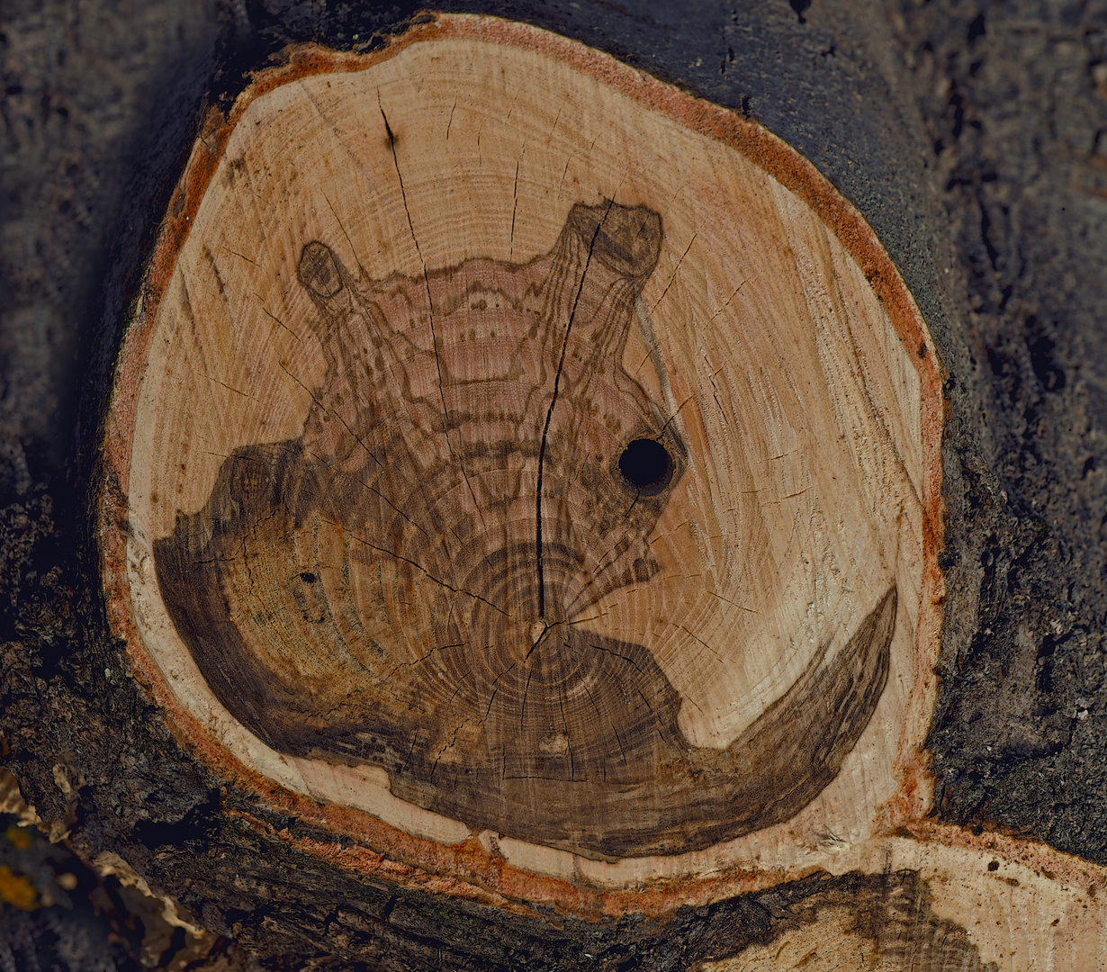 Holz-Kunst, Original