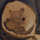 Holz-Kunst, Original