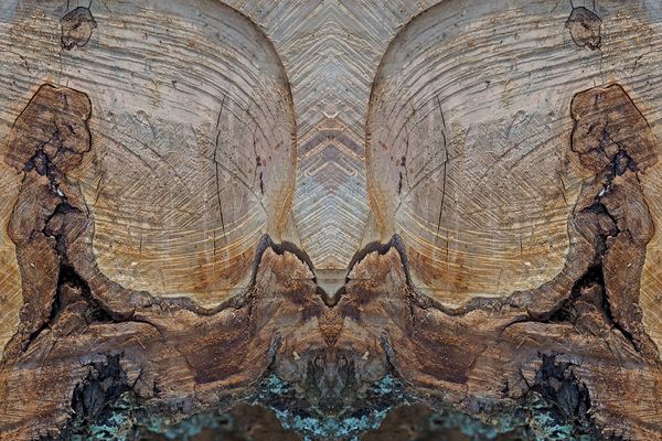 Holz-Kunst! - Une petite oeuvre artistique fait de bois...