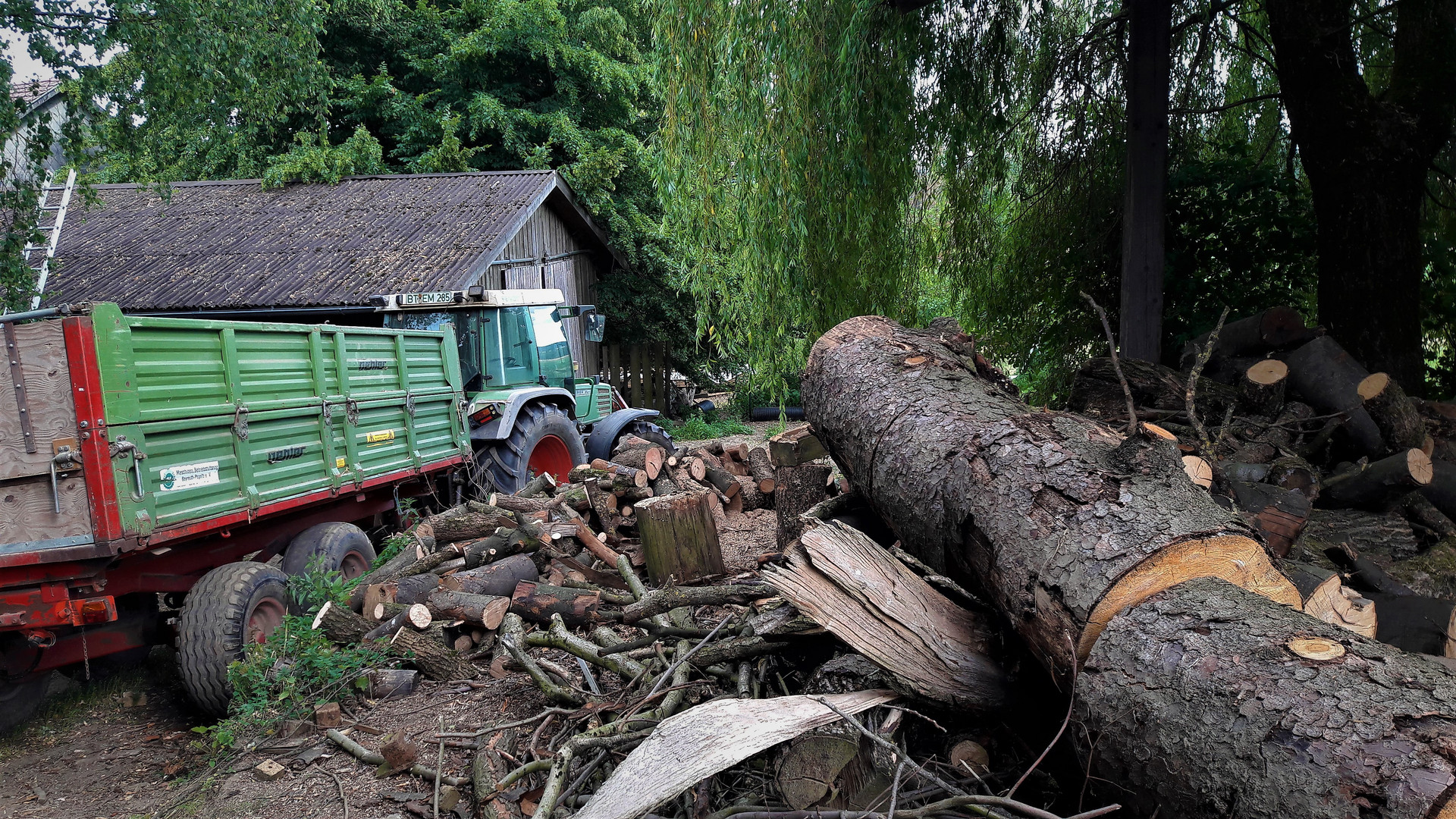 Holz machen in der Hitze