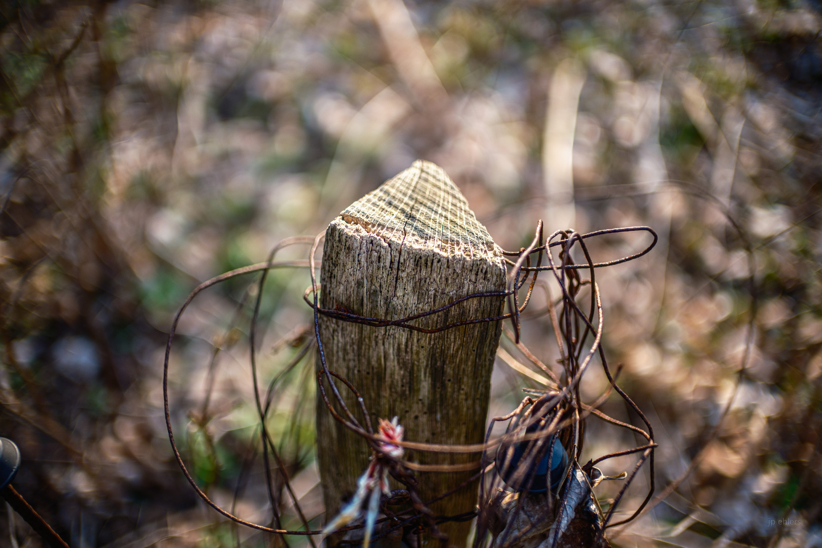 Holz mit Rost