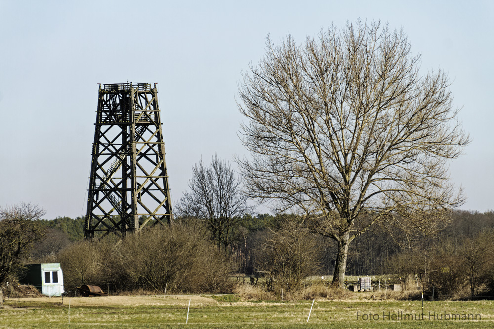 HOLZ. NATÜRLICH. GEOMETRISCH.