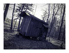 Holz neben der Hütte