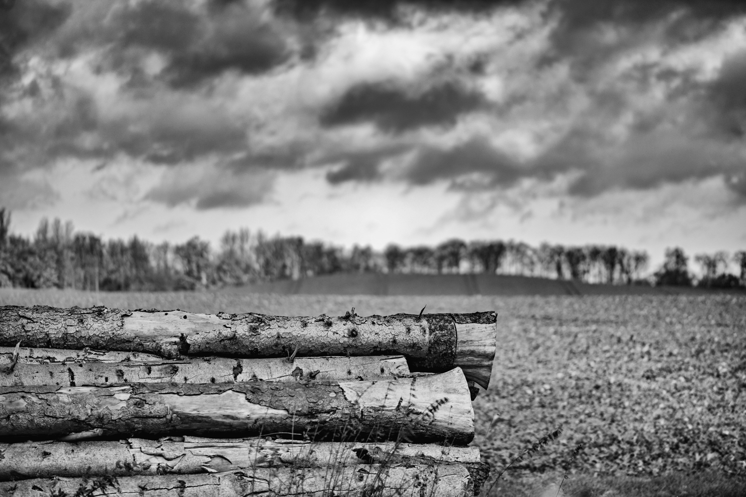 Holz ohne Hütte