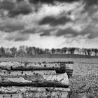 Holz ohne Hütte