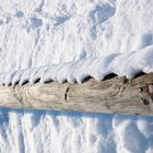 HOLZ -SCHNEE DESIGN