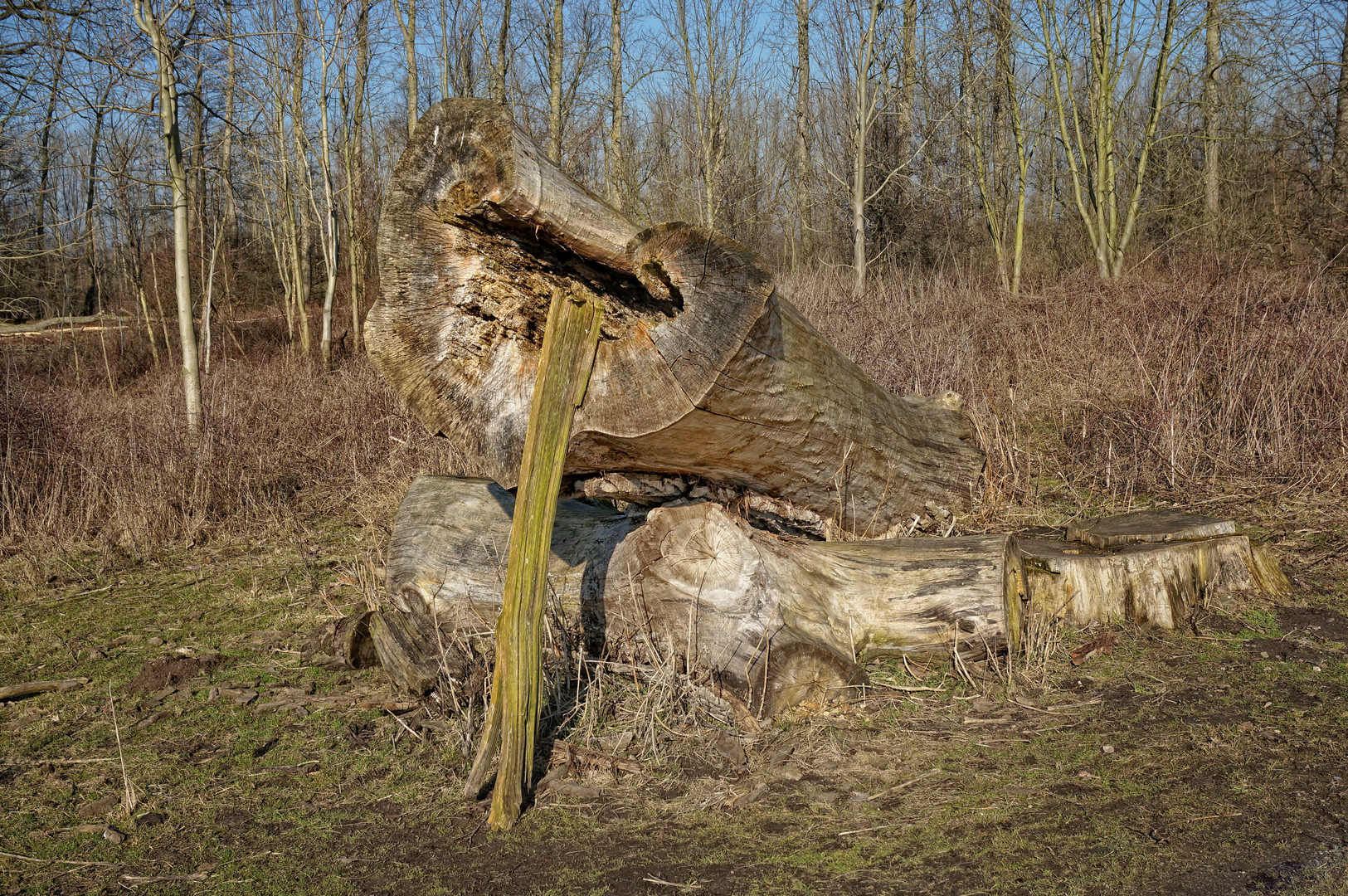 Holz-'Skulptur'