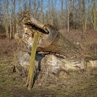 Holz-'Skulptur'