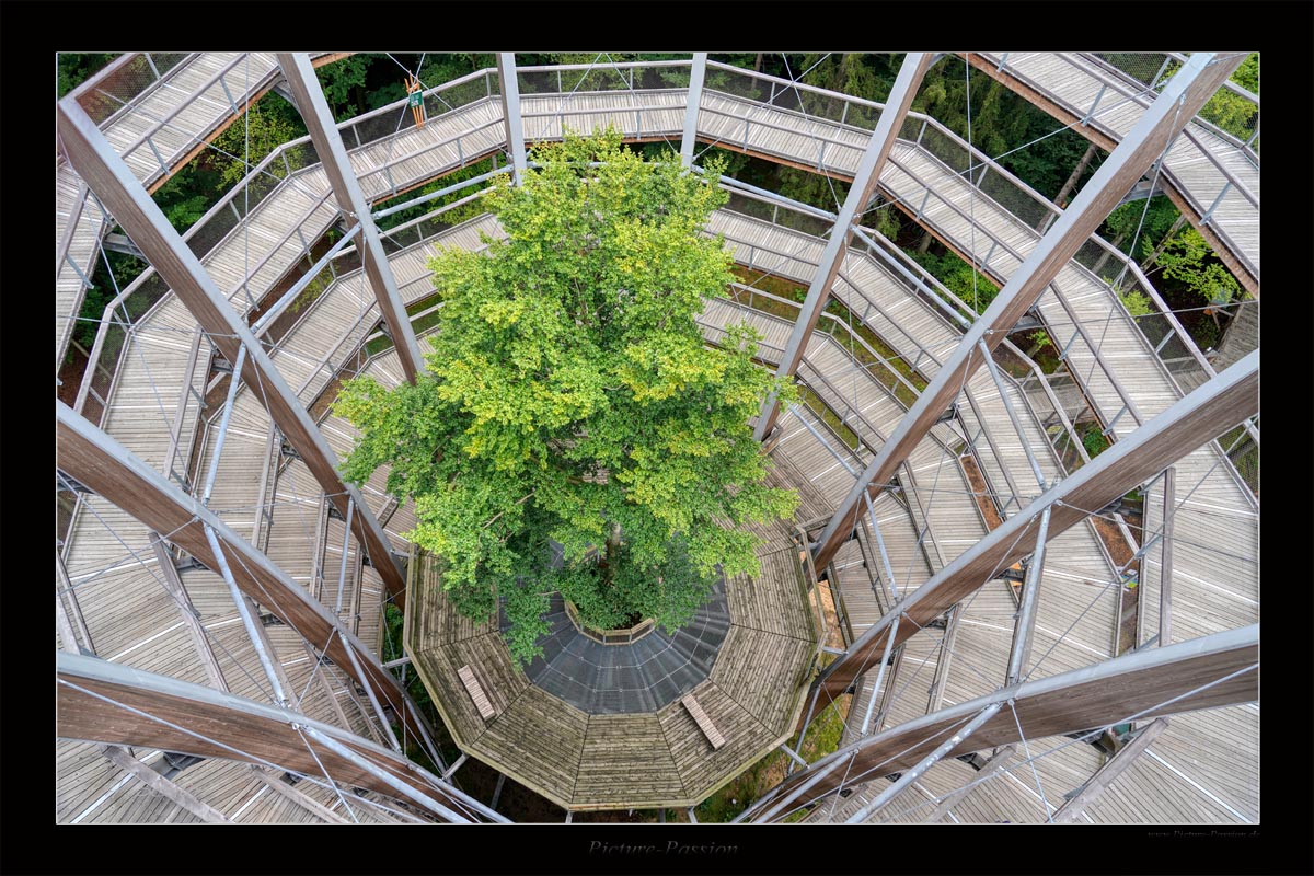 Holz Spirale