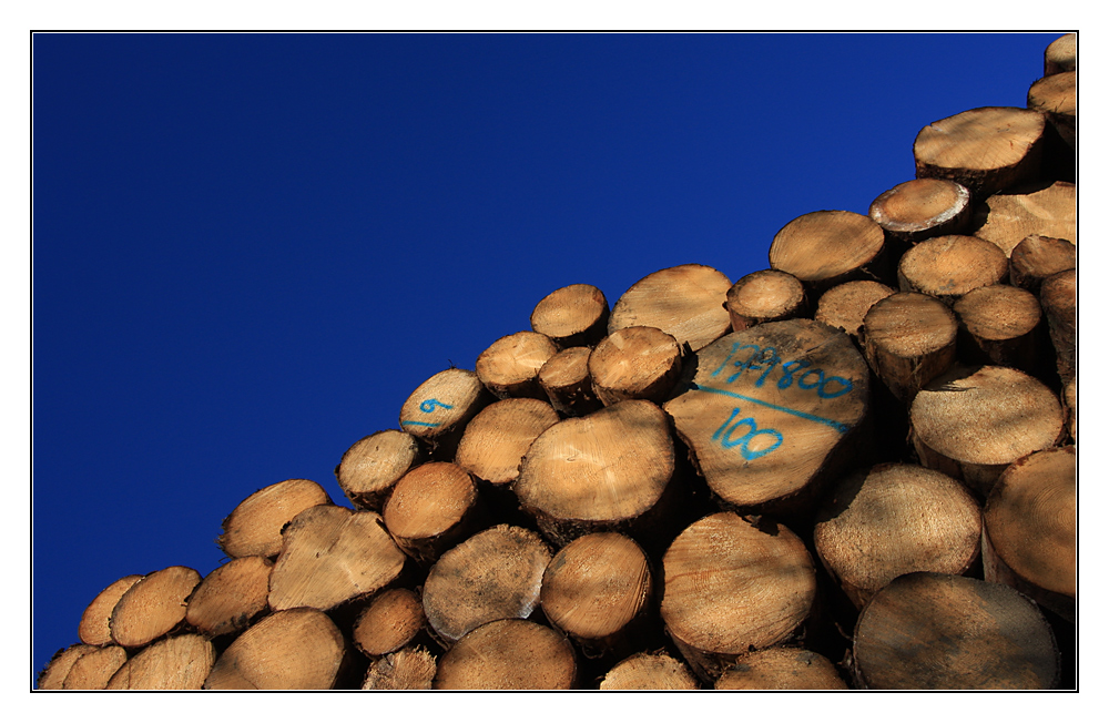 Holz statt Schnee