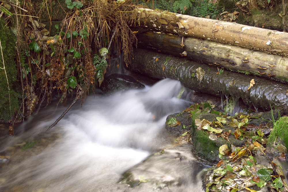 Holz-Stauwehr im Hafenlohrtal