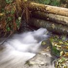 Holz-Stauwehr im Hafenlohrtal