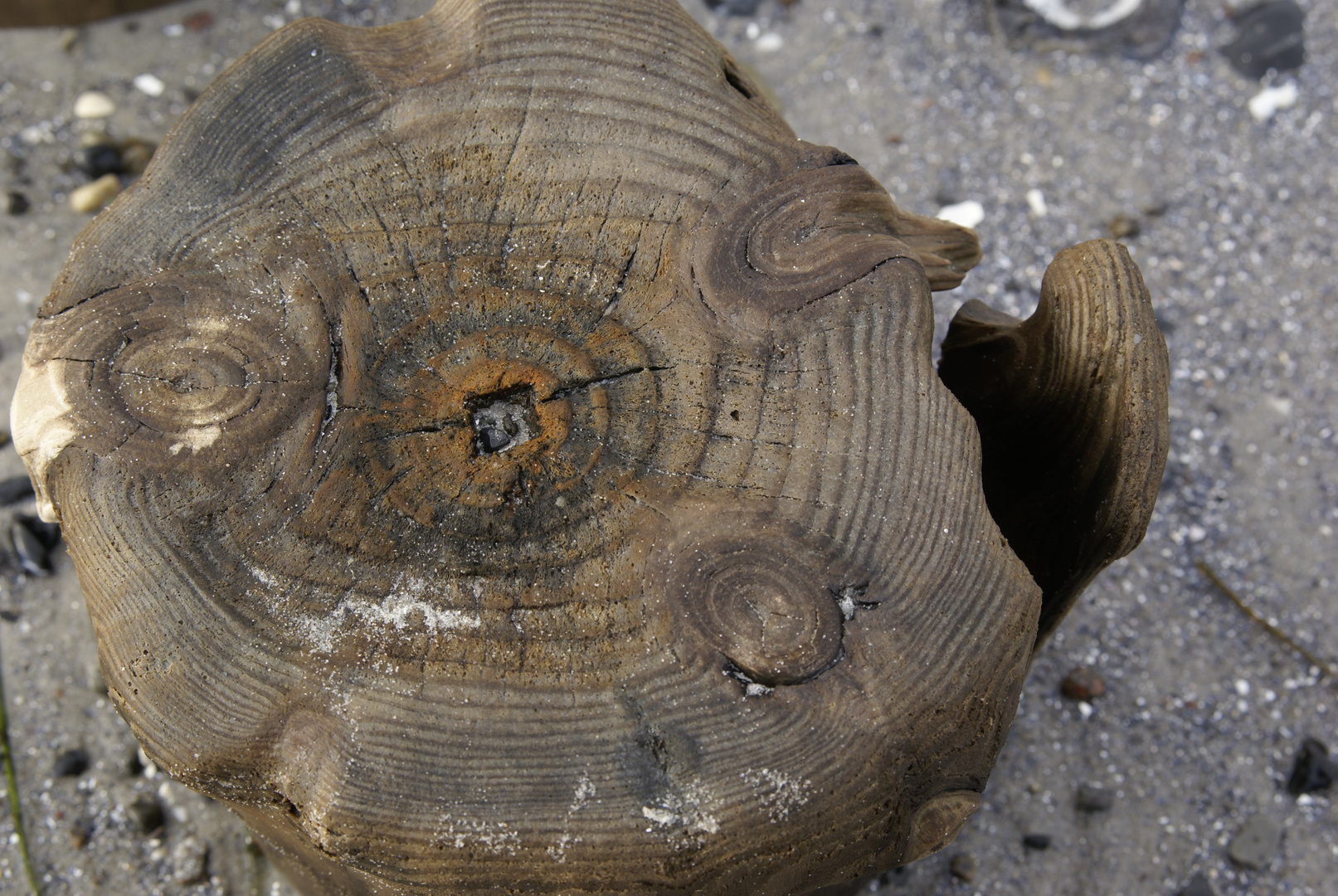 Holz Stein