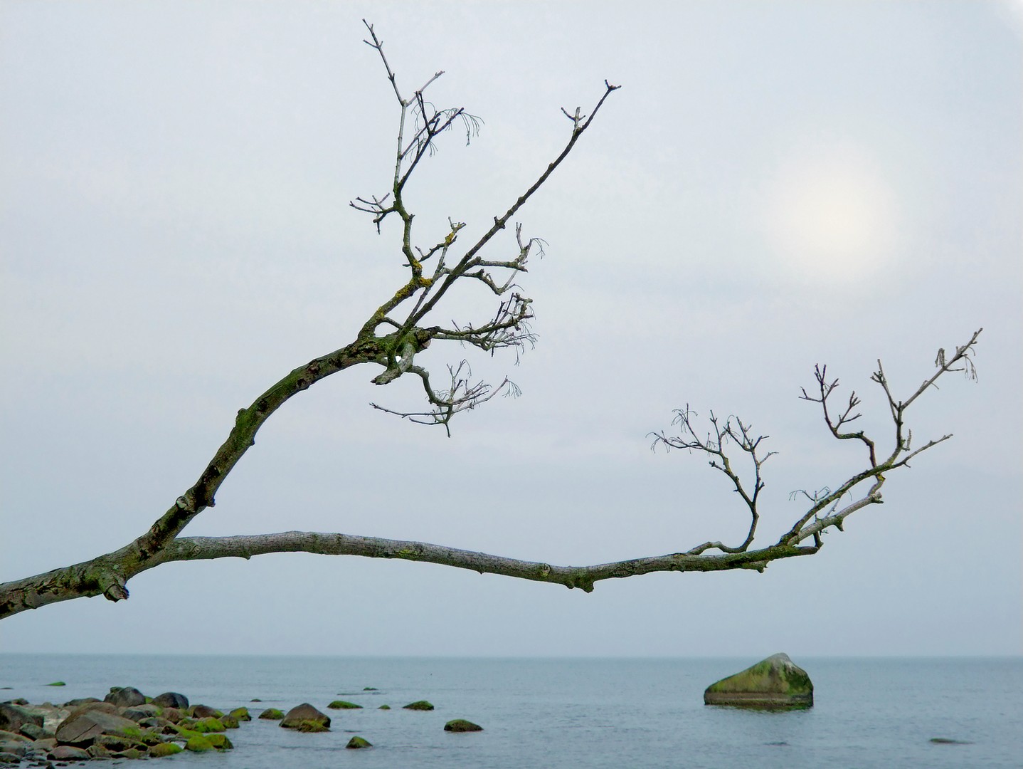 Holz Stein Wasser