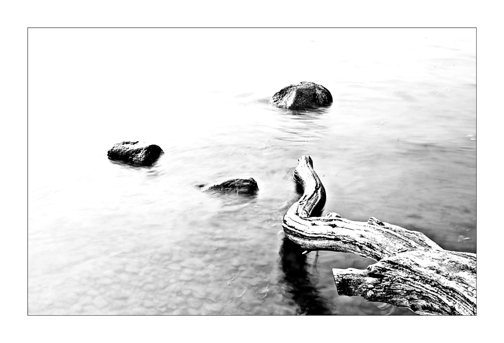 Holz, Steine und Wasser by Antje Schmidt Rügen 